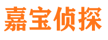 宁陵外遇调查取证